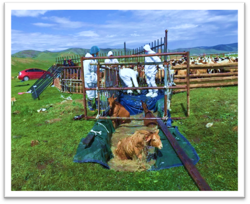 image011.png